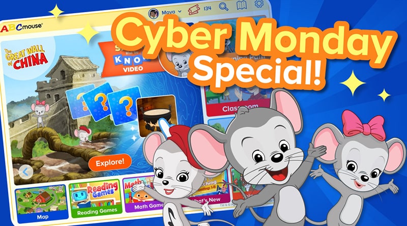 Cyber Monday Special Offer