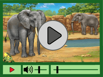 Play the Elephant Animation.